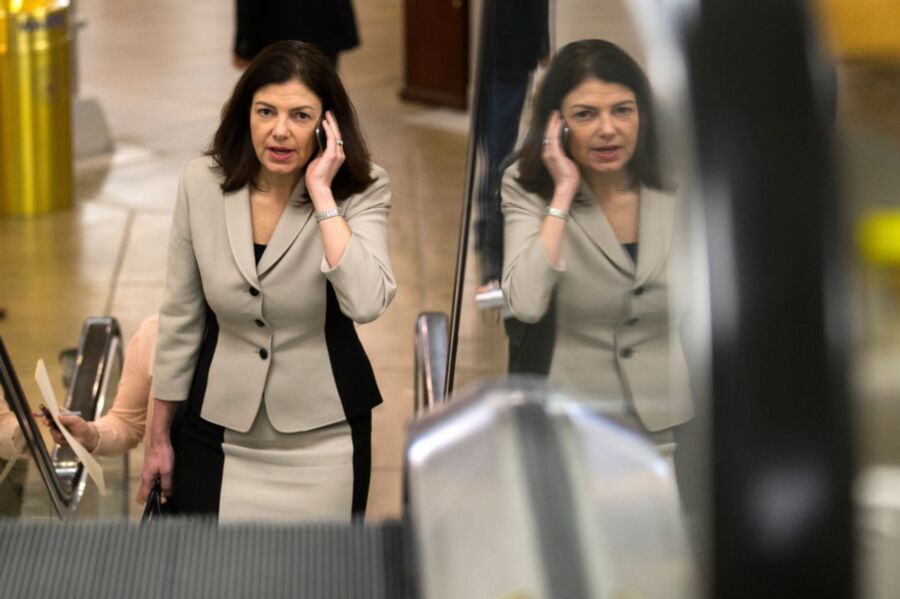 Free porn pics of I dream about conservative Kelly Ayotte 15 of 50 pics