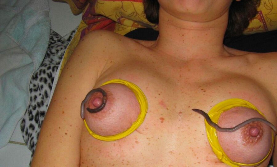 Are not Bug insert pussy Think, that Bug insert pussy