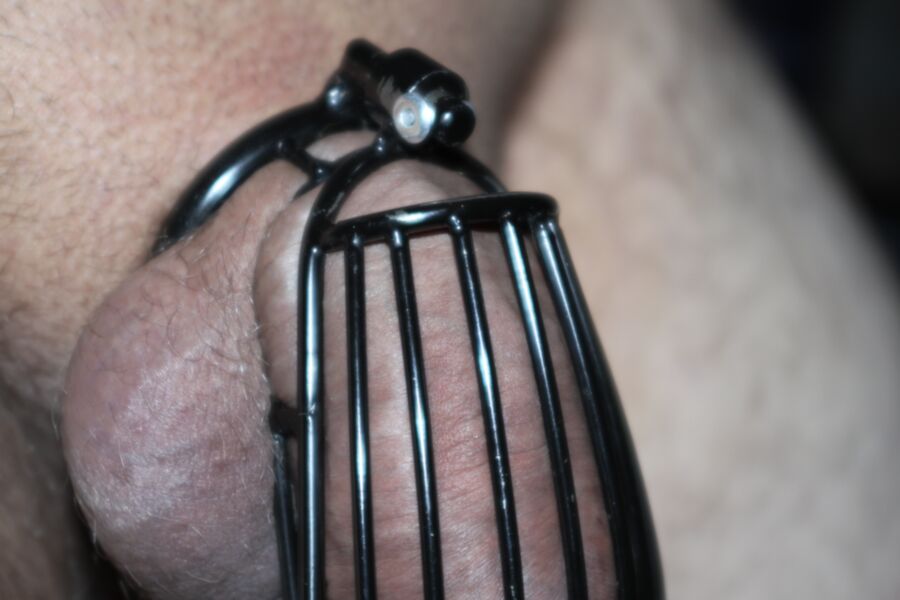 Free porn pics of chastity with rivet  8 of 12 pics