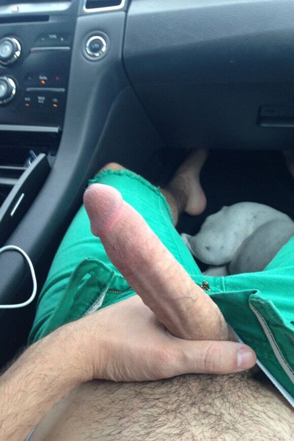Free porn pics of Guys Get Their Cute Cocks Out In Car 5 of 44 pics