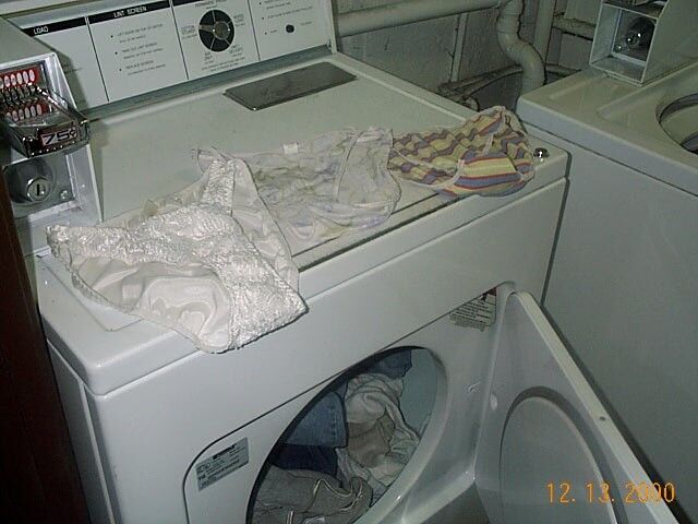 Free porn pics of Nylon Panties in Washers and or Dryers 19 of 22 pics