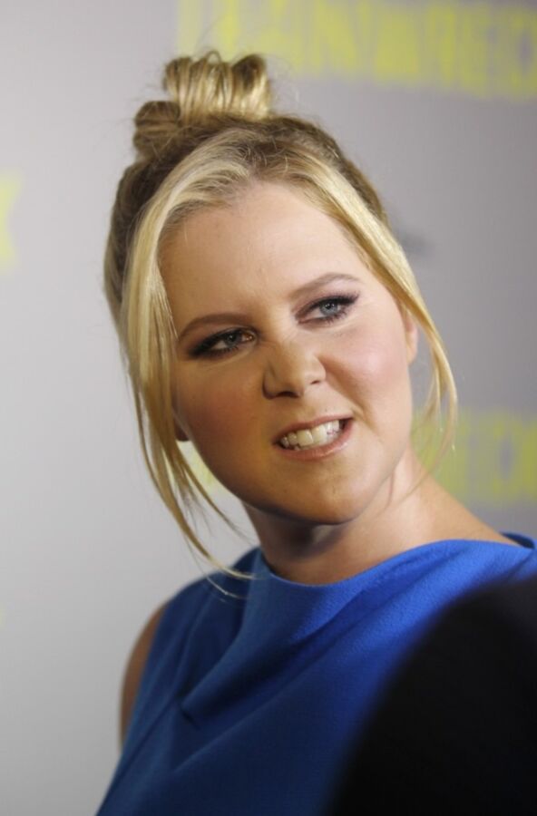 Free porn pics of FrenchStalker Album - Amy Schumer 11 of 29 pics