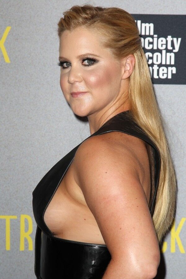 Free porn pics of FrenchStalker Album - Amy Schumer 21 of 29 pics