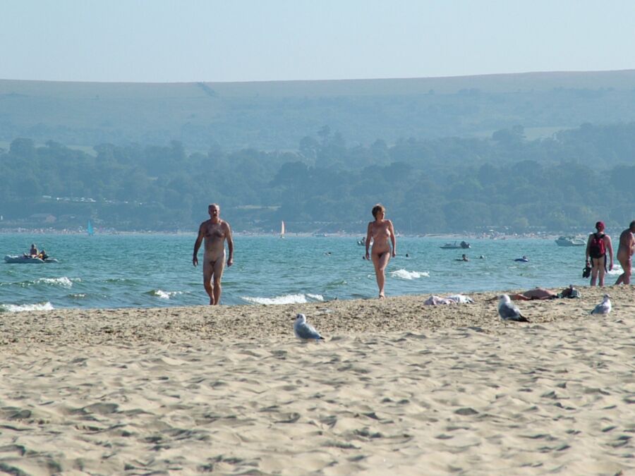 Free porn pics of Studland Nude Beach 5 of 11 pics