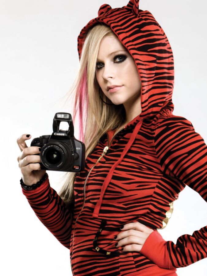 Free porn pics of Avril Lavigne - Cute 14 of 17 pics