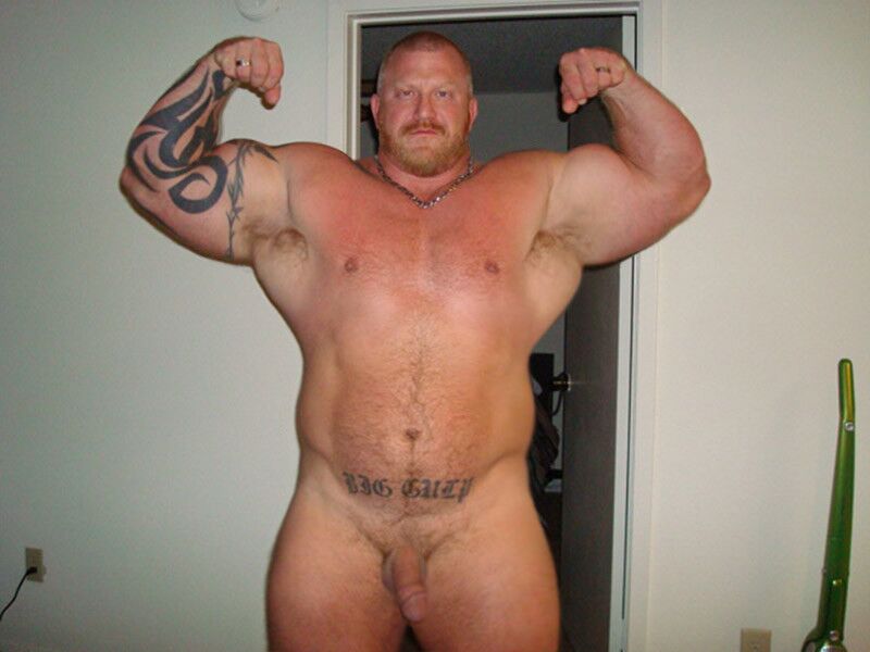 Bear chub cub daddybear gay musclebear photo picture profile