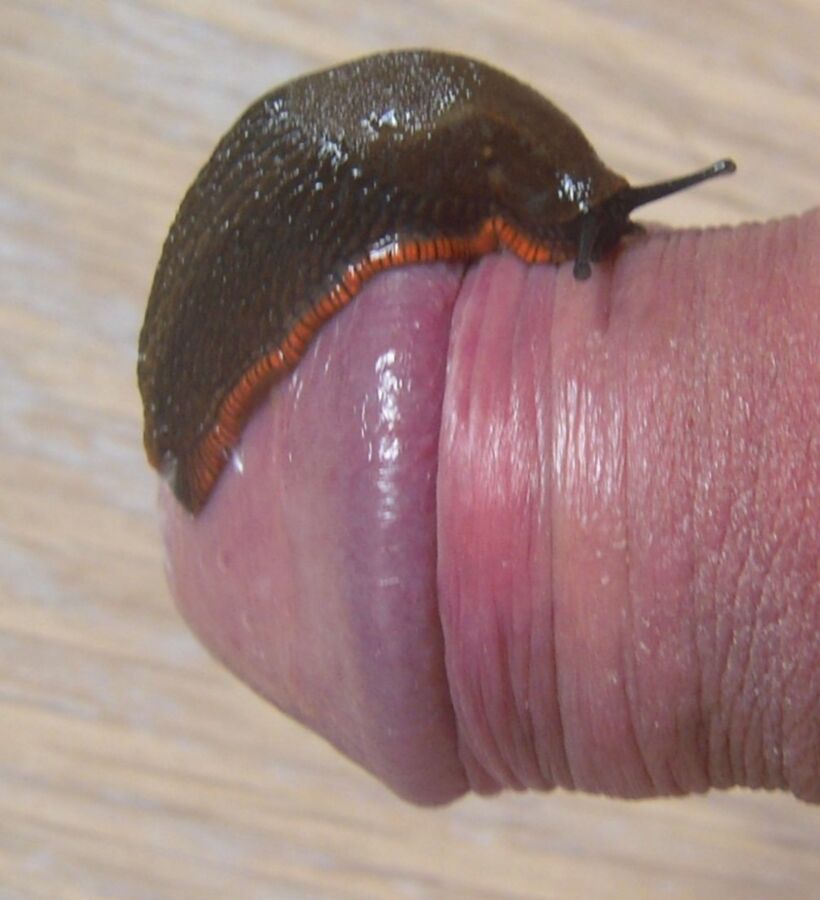 Free porn pics of More slugs in my pee hole 1 of 11 pics