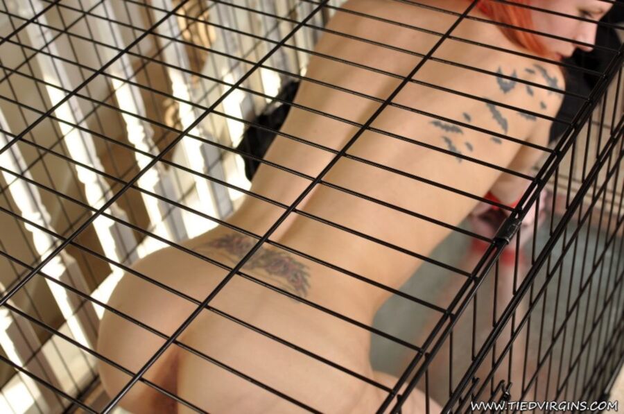 Free porn pics of caged 16 of 56 pics