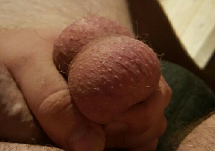 Free porn pics of cbt and humiliation 1 of 64 pics