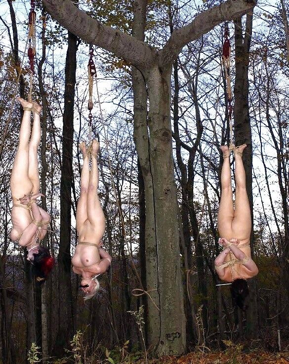 Free porn pics of BDSM tree huggers. 4 of 24 pics