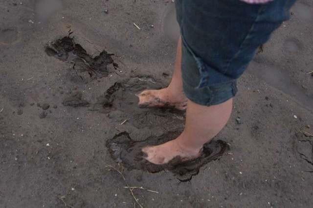 Free porn pics of  Feet and shoes in the mud 10 of 50 pics