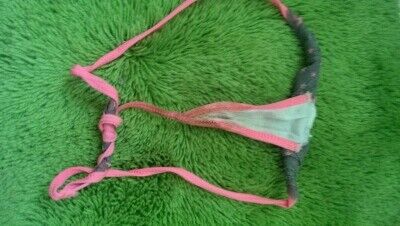 Free porn pics of Filthy teen g-string on the bathroom floor 2 of 5 pics