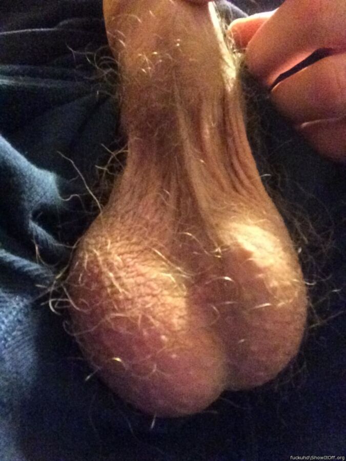 Free porn pics of My Cock 5 of 8 pics