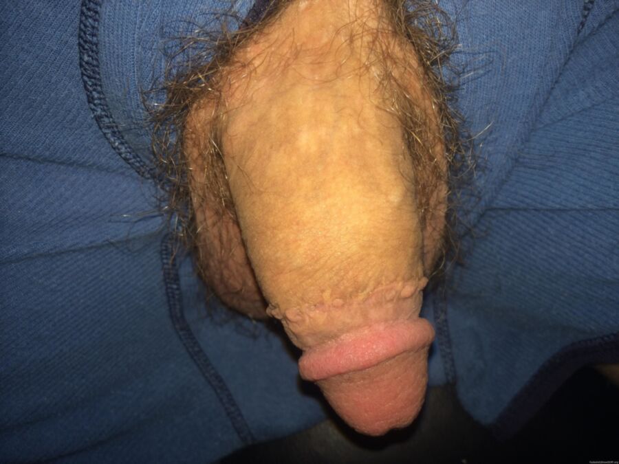 Free porn pics of My Cock 3 of 8 pics