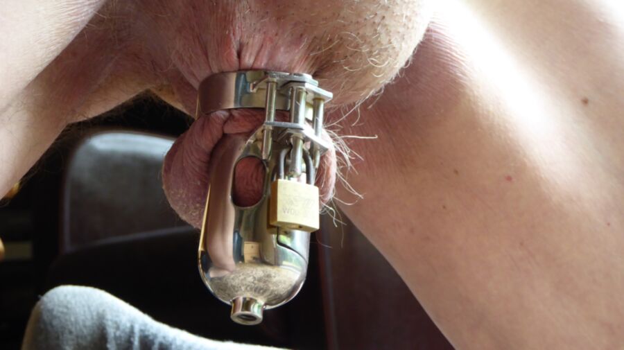Free porn pics of Locked in spiked chastity device 7 of 7 pics