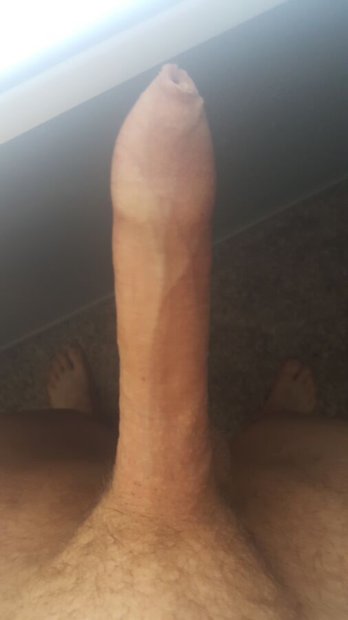 free porn videos bbw free porn videos bbw