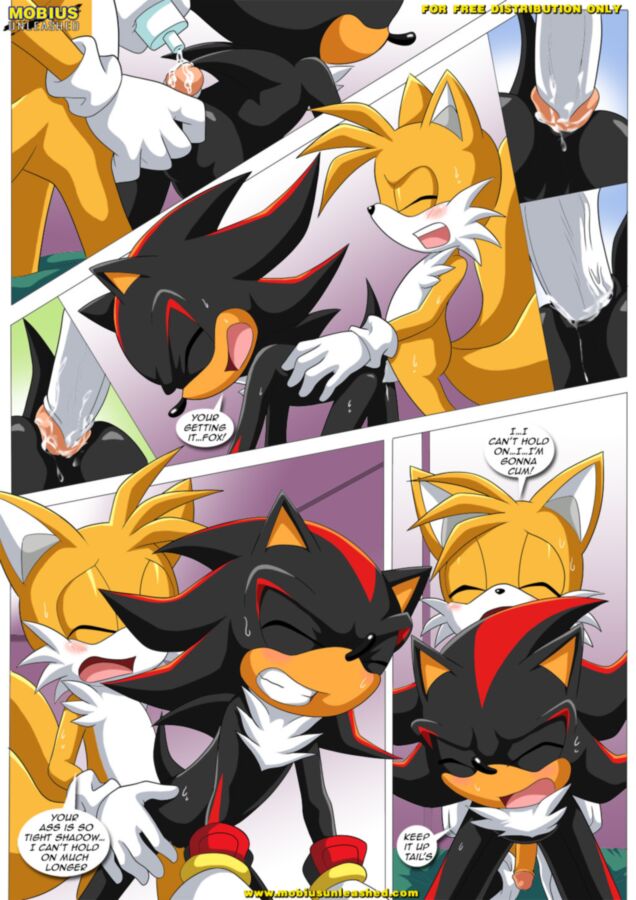 Free porn pics of Furry Sonic Gay Comic - Shadow and tails 3 of 12 pics