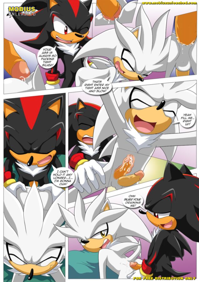 Free porn pics of Furry Sonic Gay Comic - Shadow and tails 9 of 12 pics