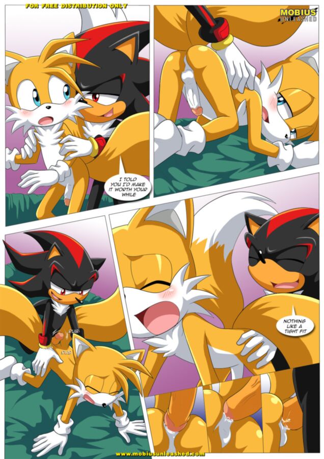 Free porn pics of Furry Sonic Gay Comic - Shadow and tails 5 of 12 pics