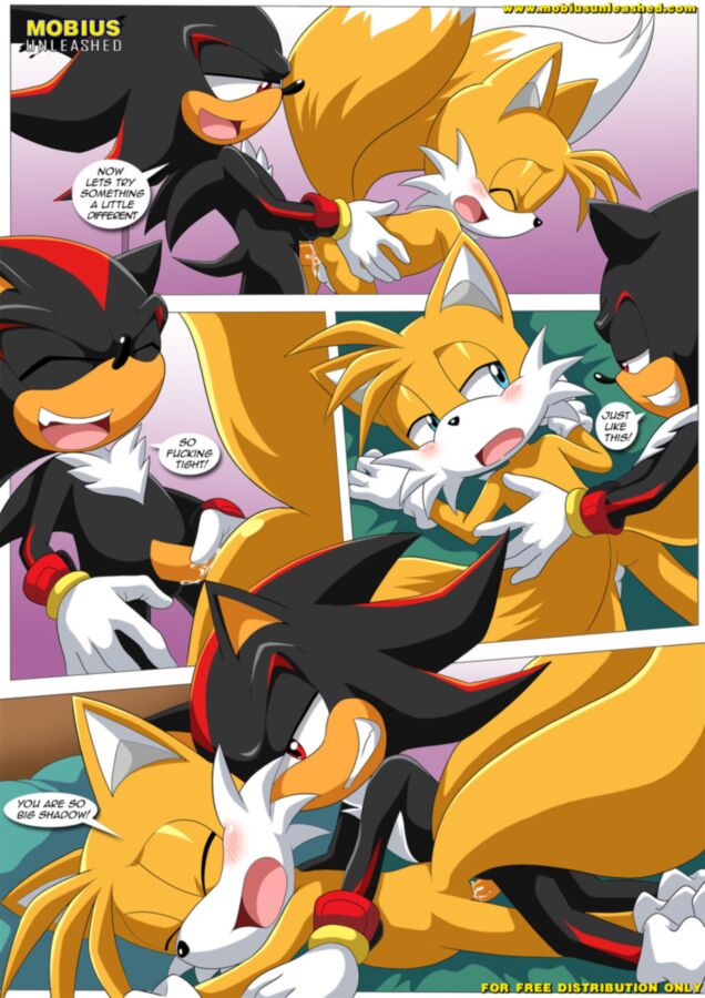 Free porn pics of Furry Sonic Gay Comic - Shadow and tails 6 of 12 pics