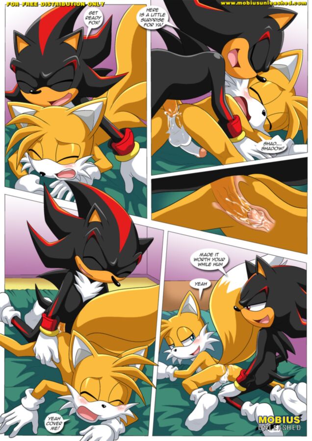 Free porn pics of Furry Sonic Gay Comic - Shadow and tails 7 of 12 pics