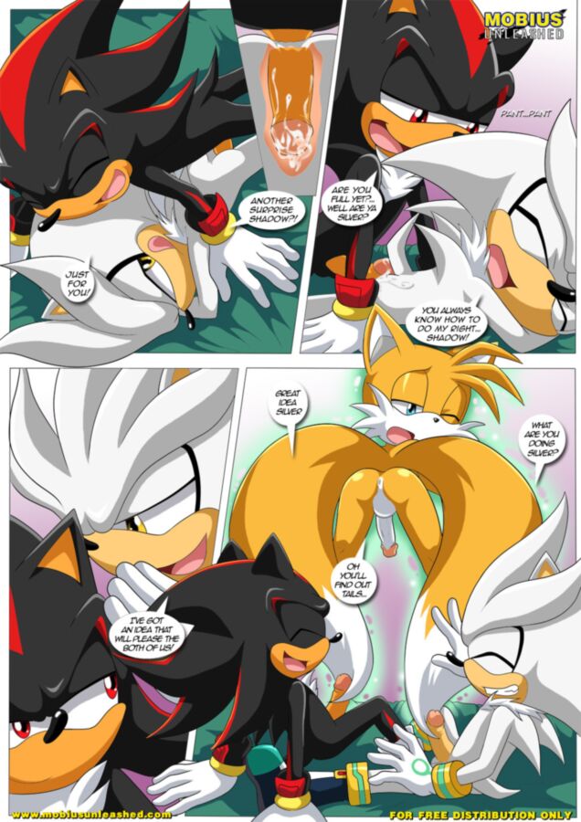 Free porn pics of Furry Sonic Gay Comic - Shadow and tails 10 of 12 pics