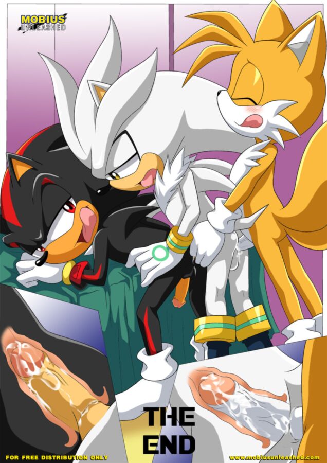 Free porn pics of Furry Sonic Gay Comic - Shadow and tails 12 of 12 pics