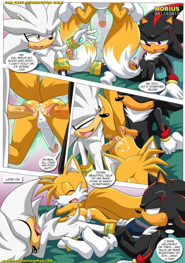Free porn pics of Furry Sonic Gay Comic - Shadow and tails 11 of 12 pics