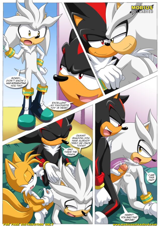 Free porn pics of Furry Sonic Gay Comic - Shadow and tails 8 of 12 pics