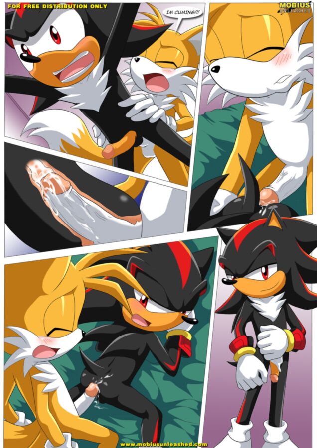 Free porn pics of Furry Sonic Gay Comic - Shadow and tails 4 of 12 pics