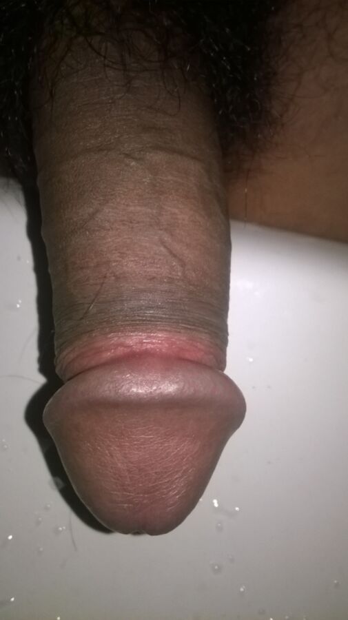 Free porn pics of MY HALF ERECTED DICK...AFTER LONG TIME 5 of 5 pics