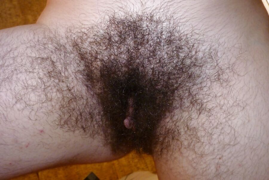 Free porn pics of Sweet Hairy Pussies 6 of 39 pics
