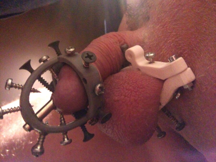 Free porn pics of Torture of penis 4 of 7 pics