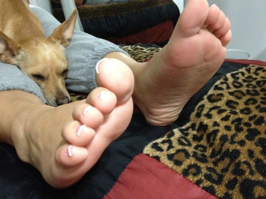 Free porn pics of CUBAN FEET TEASING IN BED 3 of 12 pics