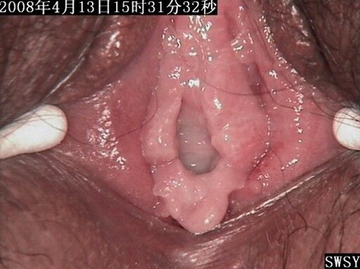 lovely shemale teenie anal ripped gay boy sex video galleries