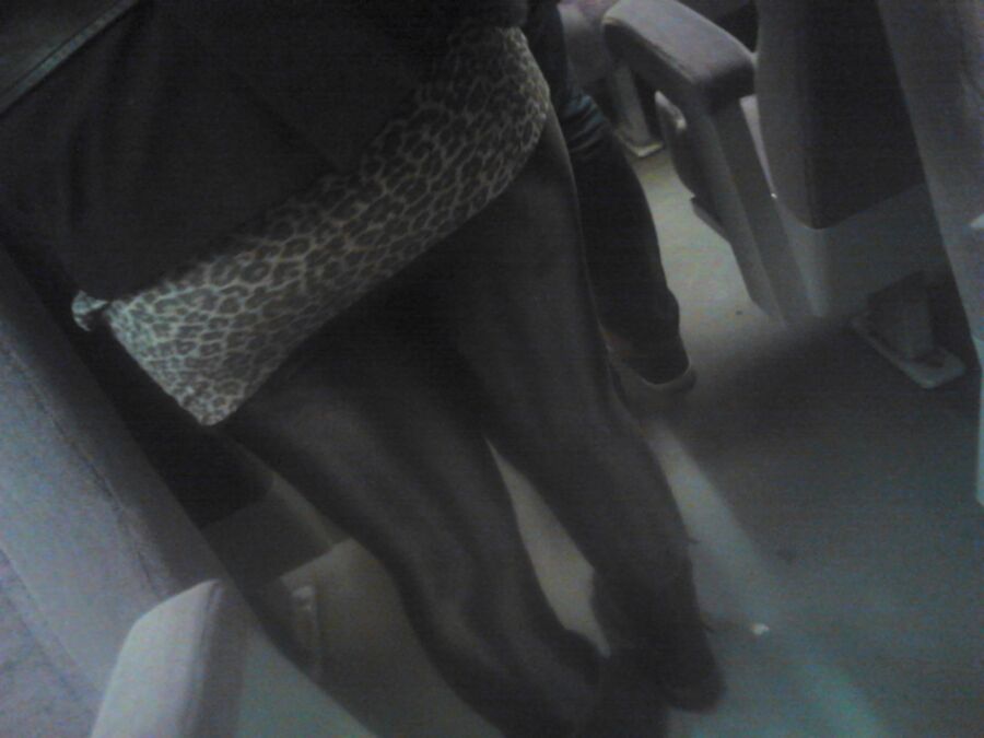 Free porn pics of leggings and leopar dress on train 1 of 6 pics