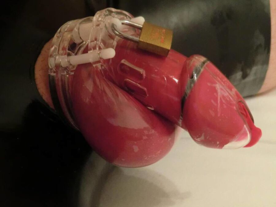 Free porn pics of Red Condom under Chastity with latex panty 11 of 13 pics