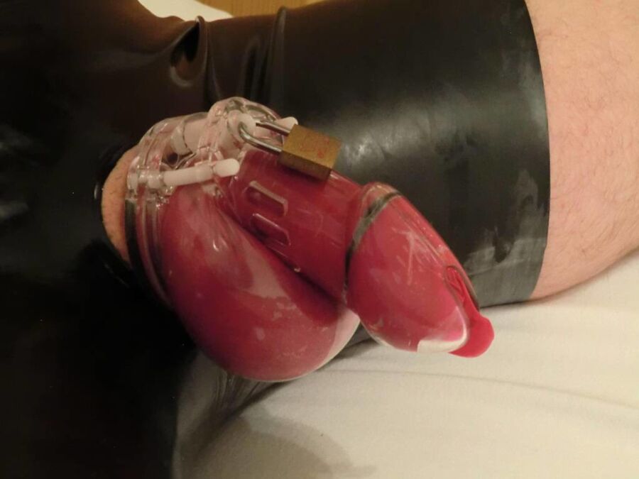 Free porn pics of Red Condom under Chastity with latex panty 4 of 13 pics