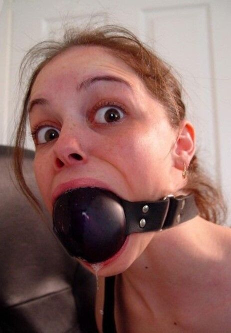 Free porn pics of Contribution - Gagged with a Ball 2 of 12 pics