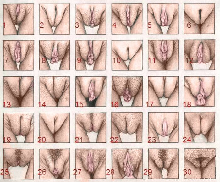 Free porn pics of You might like to know (Body Parts) 5 of 6 pics