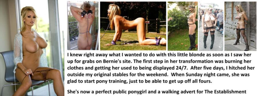 Free porn pics of Girls I got from Bernie adjusting to The Establishment 4 of 13 pics