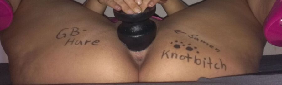 Free porn pics of DOG KNOT BITCH 3 of 6 pics