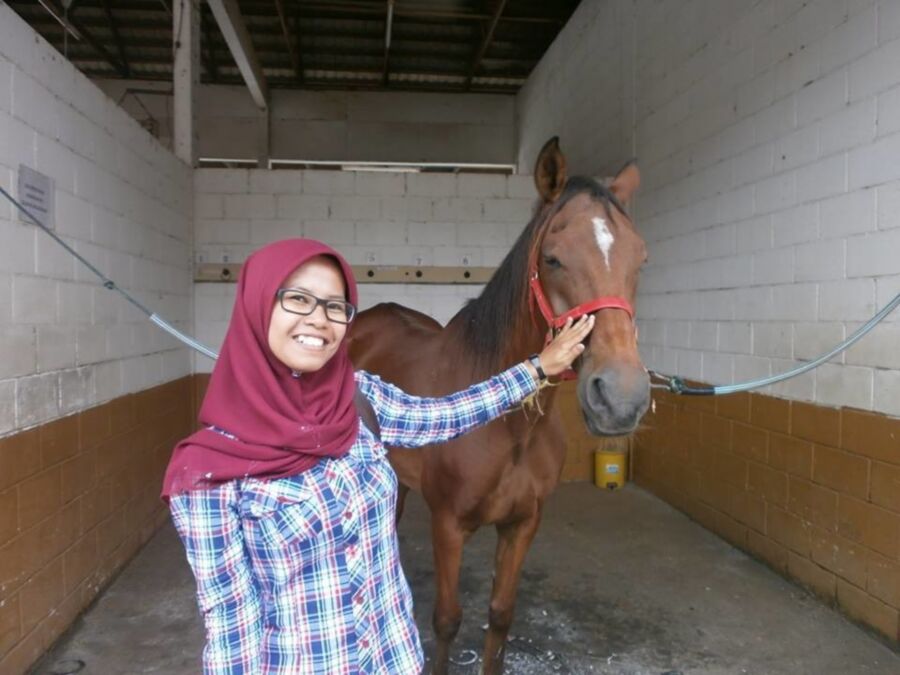 Free porn pics of Jilbab with Horse 1 of 1 pics
