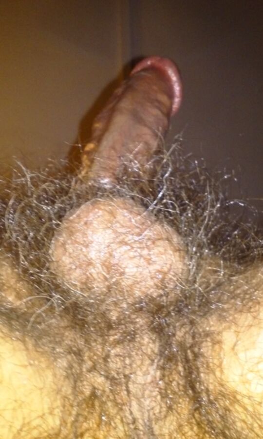 Free porn pics of Hairy Balls and Asshole 5 of 17 pics