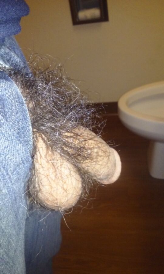 Free porn pics of Hairy Balls and Asshole 10 of 17 pics