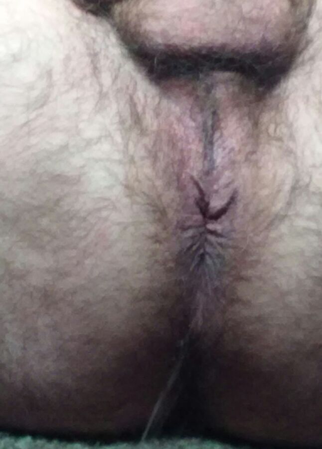 Free porn pics of Hairy Balls and Asshole 17 of 17 pics