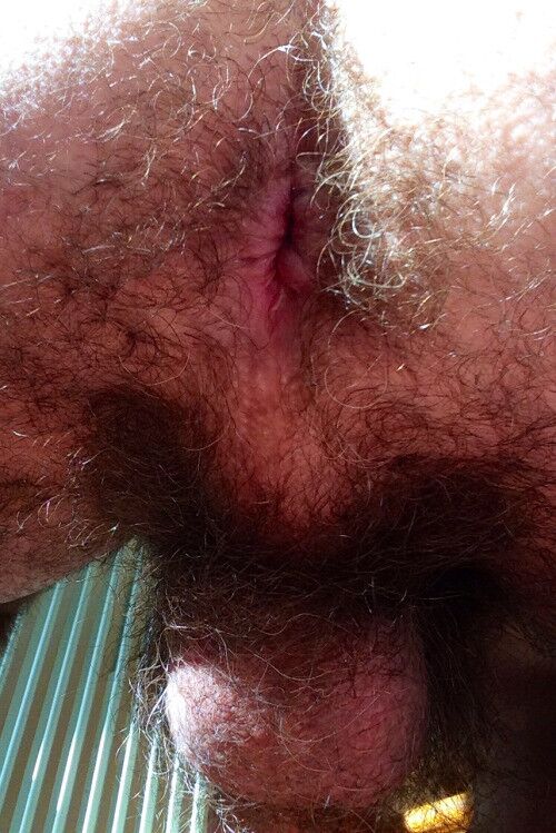 Free porn pics of Hairy Balls and Asshole 4 of 17 pics