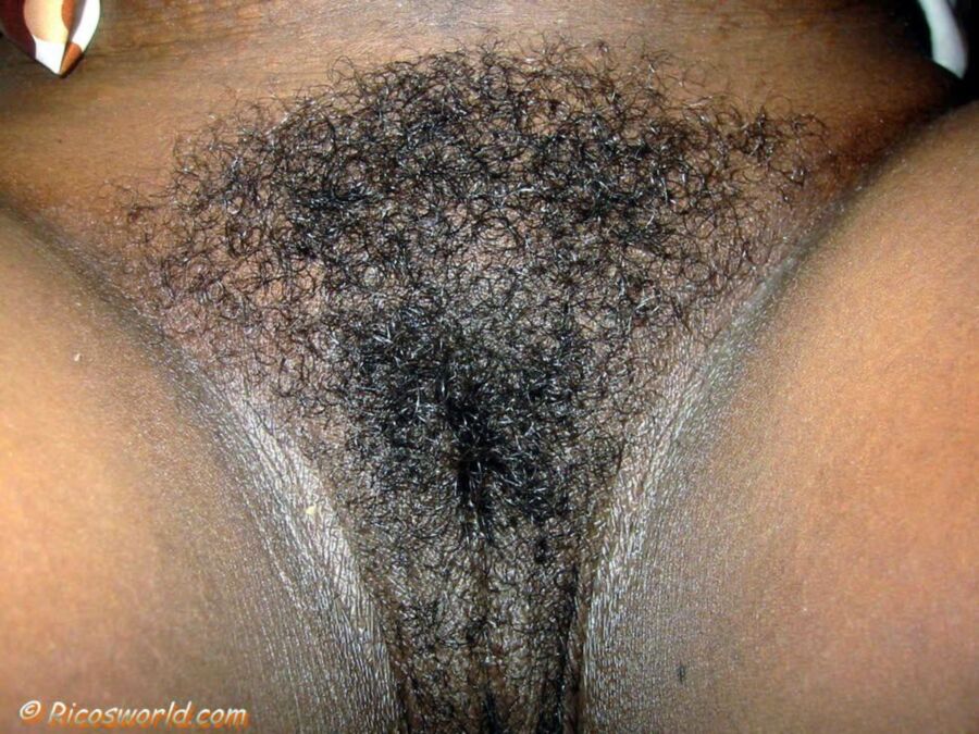 Free porn pics of Caribbean amateur  hairy pussy and ugly   12 of 20 pics