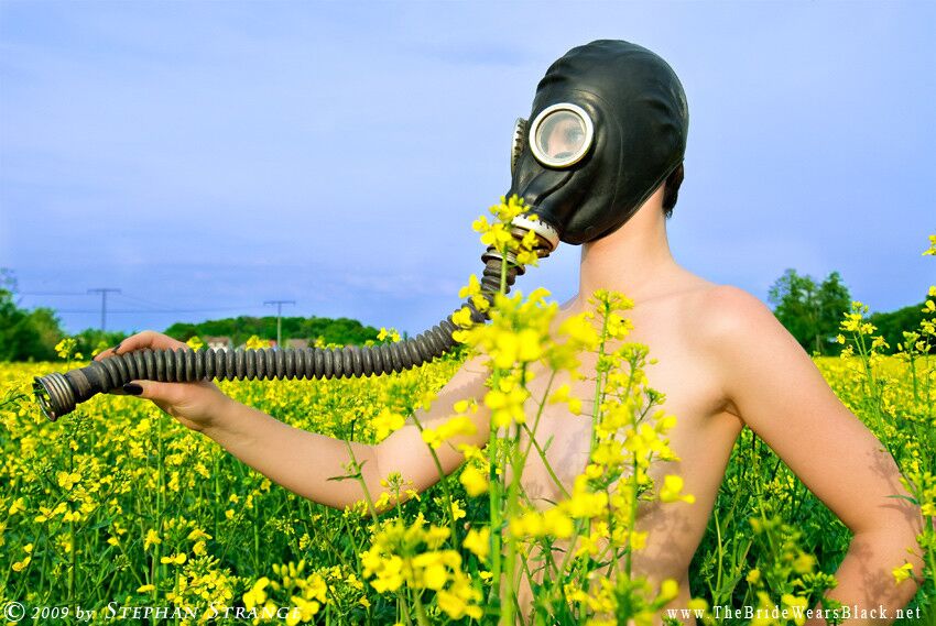 Free porn pics of Short-haired gas mask model 15 of 32 pics