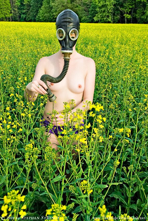 Free porn pics of Short-haired gas mask model 12 of 32 pics